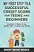 My First Step to a Successful Credit Score for Teens and Beginners: Introduction to Finances for Kids: Dummies Guide to Cryptocurrency Investing
