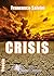 Crisis by Francesco Salvini