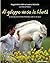 Al galoppo verso la libertà. Le sei regole d'oro per educare ... by Magali Delgado