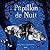 PAPILLON DE NUIT