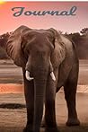 Journal