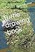 Turtle drawing book
