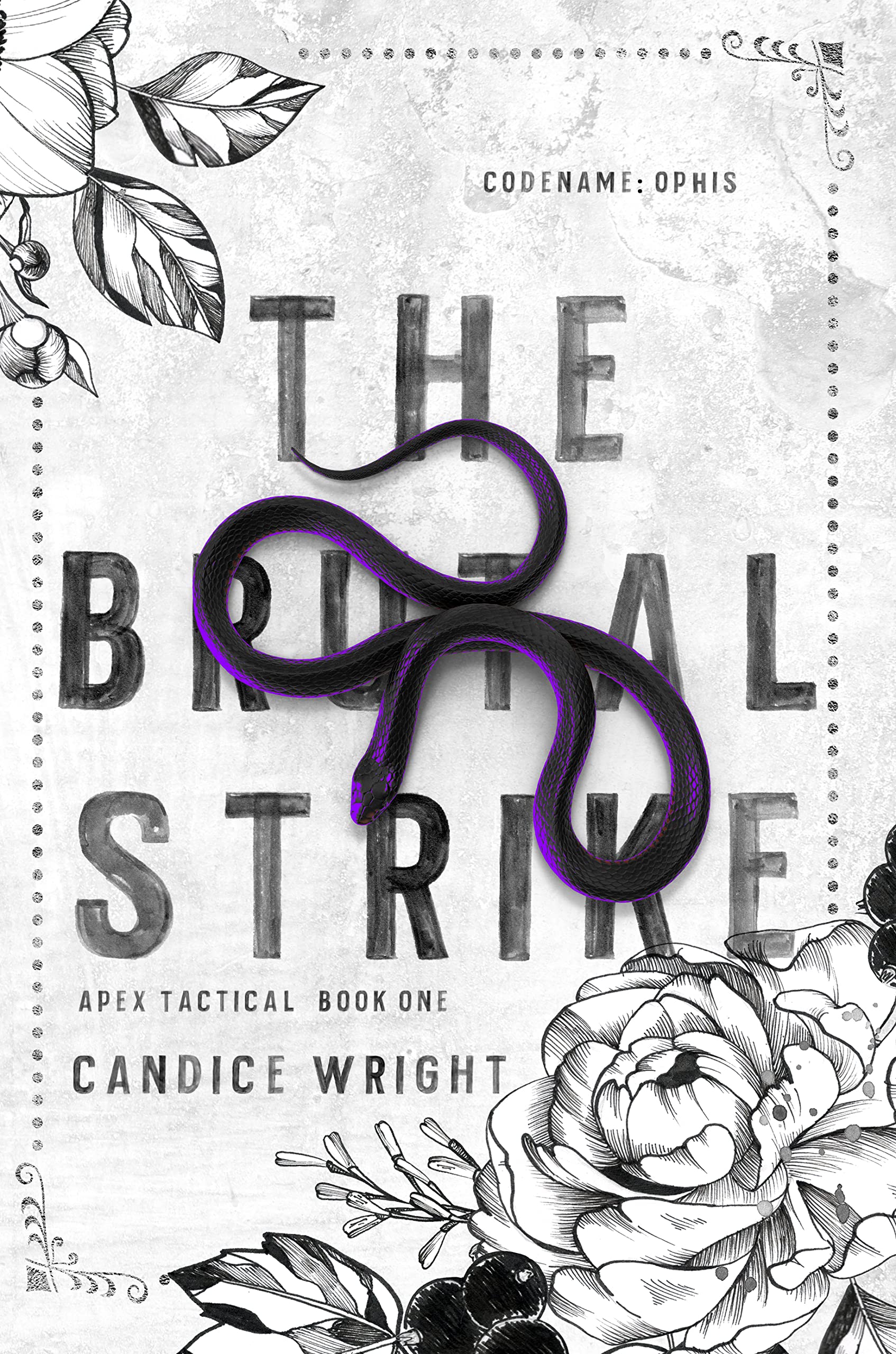 The Brutal Strike: Codename: Ophis (Apex Tactical, #1)