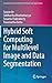 Hybrid Soft Computing for Multilevel Image and Data Segmentation (Computational Intelligence Methods and Applications)