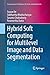 Hybrid Soft Computing for Multilevel Image and Data Segmentation (Computational Intelligence Methods and Applications)