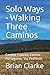 Solo Ways - Walking Three C...
