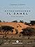 Attraversando il Sahel