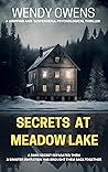 Secrets at Meadow Lake by Wendy Owens