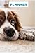 PLANNER