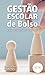 Gestão escolar de bolso: A arte de falar, fazer e acontecer (Portuguese Edition)