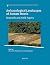 Archaeological Landscapes of Roman Etruria by Sebastiani
