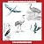 Sandhill Cranes of Nebraska...