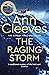 The Raging Storm (Two River...