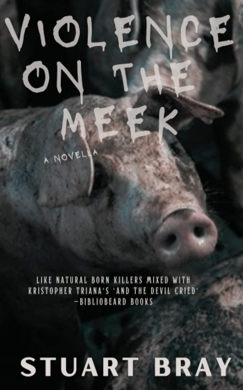 Violence on the meek (Paperback)