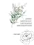Adult Active-Art Meditation Coloring Book by Ashley Kester
