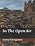 In The Open Air by Samuel Benjamin