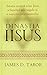 DINASTIA IISUS