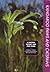 KANGAROO PAWS AND CATSPAWS A Natural History and Field Guide by Stephen D. Hopper