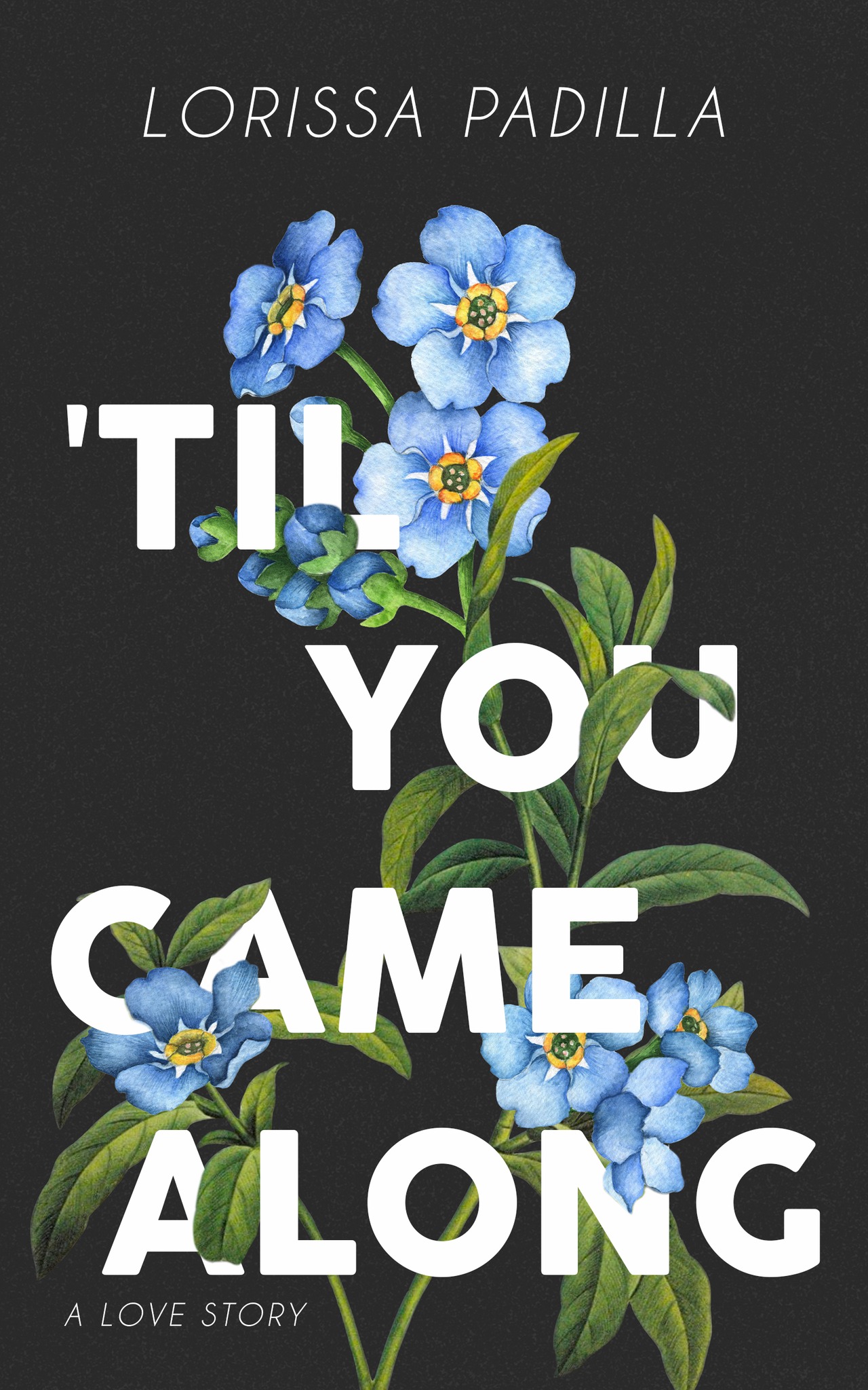'Til You Came Along