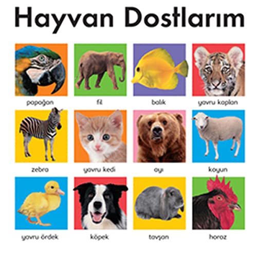 Hayvan DostlarI;m (Paperback)