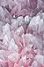 Notebook: Crystal blank lin...