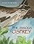 The Anxious Osprey