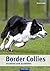 Border Collies erziehen und ausbilden by Barbara Sykes