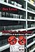 Historian's Testimony by Dov Levin