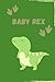 Baby Rex: Blank Sketchbook