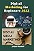Digital Marketing for Begin...