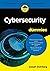Cybersecurity voor dummies