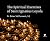 The Spiritual Exercises of Saint Ignatius Loyola by Brian McDermott