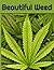 Beautiful Weed: A Marijuana...