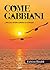 Come gabbiani by Fabrizio Rinaldi