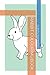 RABBIT COLOURING BOOK