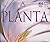PLANTA