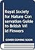 RSNC Guide to British Wild Flowers