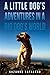 A Little Dog’s Adventures i...