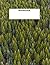 Forest Wide Ruled Notebook