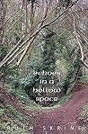 Echoes in a Hollo...