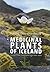 Medicinal Plants of Iceland...