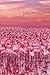 Flamingo Reflection - Journal