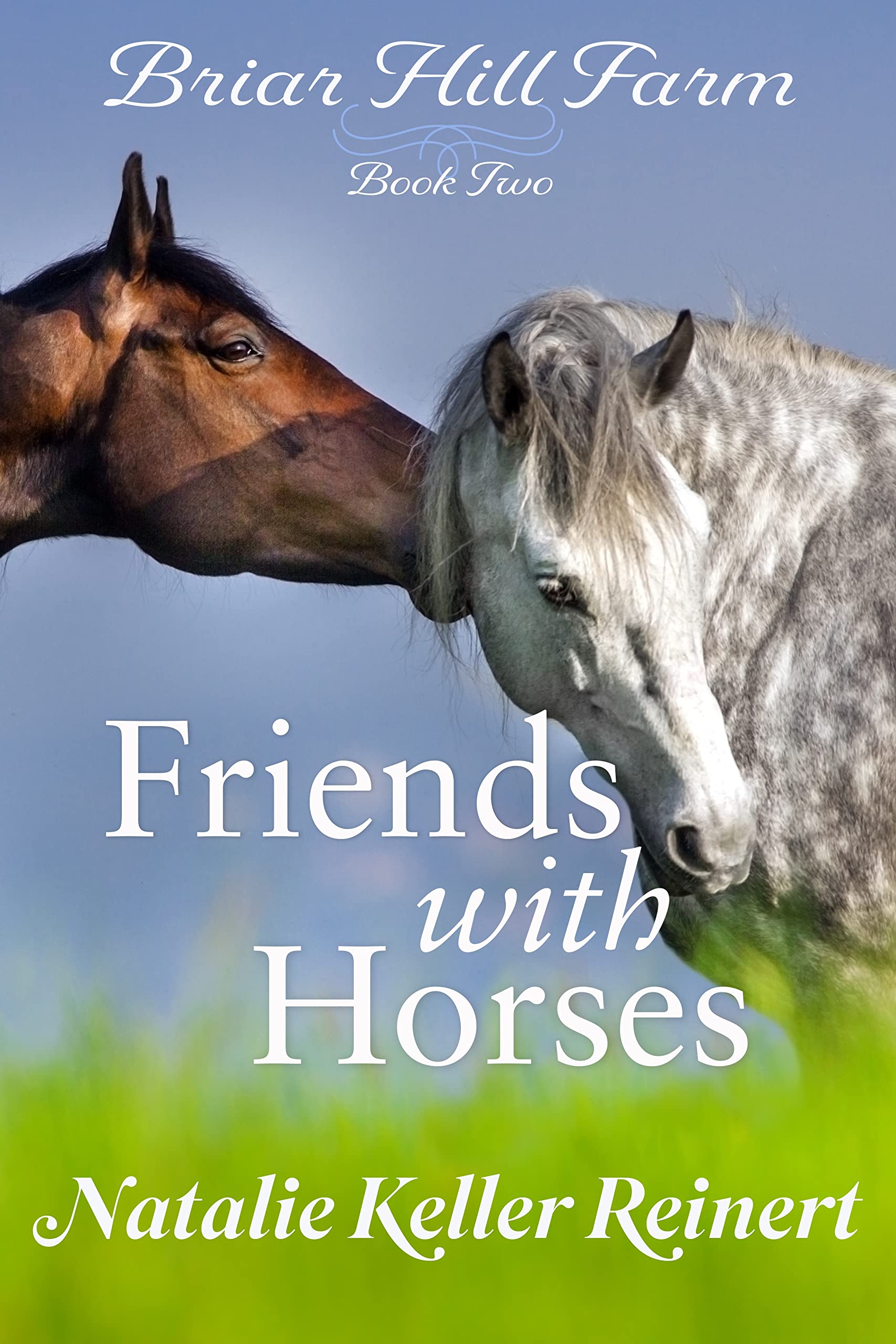 Friends With Horses (Briar Hill Farm Book 2)