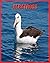 Albatross: Super Fun Facts ...