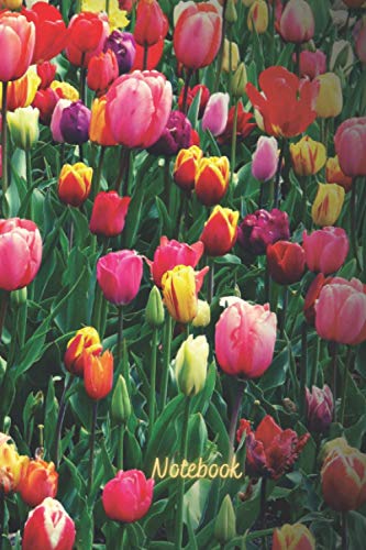 Notebook: Beautiful blooming flowers (Paperback)