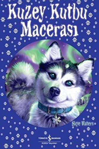 Kuzey Kutbu Macerasi (Paperback)