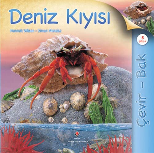 Cevir Bak Deniz Kiyisi (Paperback)
