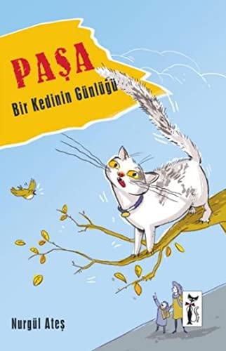 Pasa - Bir Kedinin Gunlugu (Paperback)