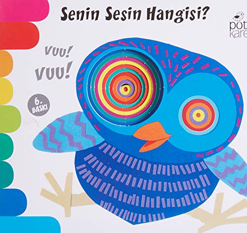 Senin Sesin Hangisi? (Paperback)