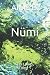 Nümi: Les Lucias Tome 1